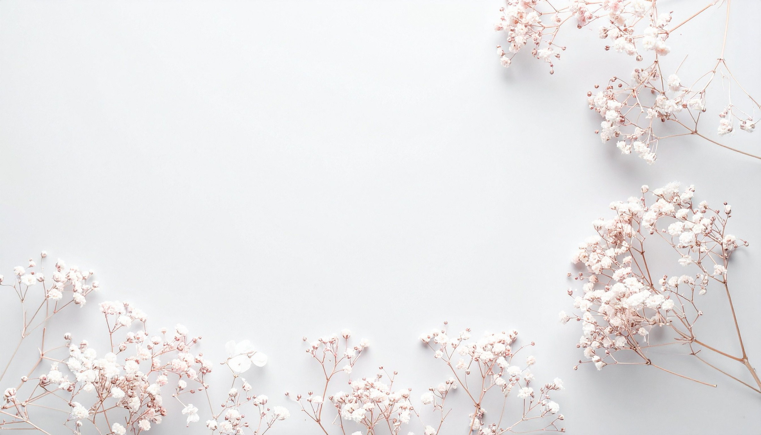 Maison Elite Interior